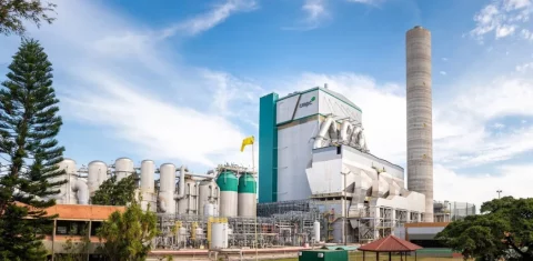 Foto colorida de fábrica de celulose da CMPC em Guaíba no Rio Grande do Sul