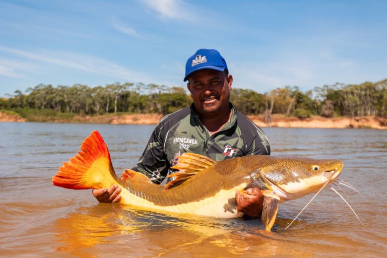 Pesquisador com bagre gigante na Amazônia: COP15 aprova maior proteção (Foto: TV Fish)