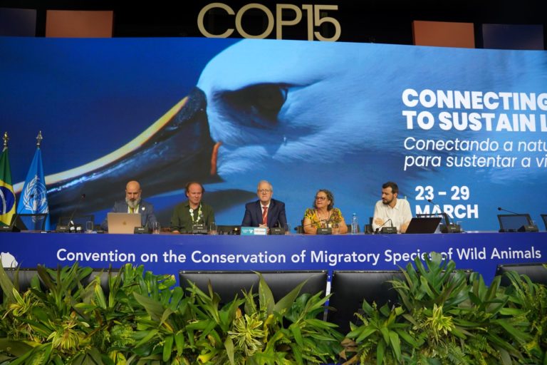 Reunião da COP15 em Campo Grande: mais 40 espécies em regras de proteção (Foto: Rogério Cassimiro / MMA)
