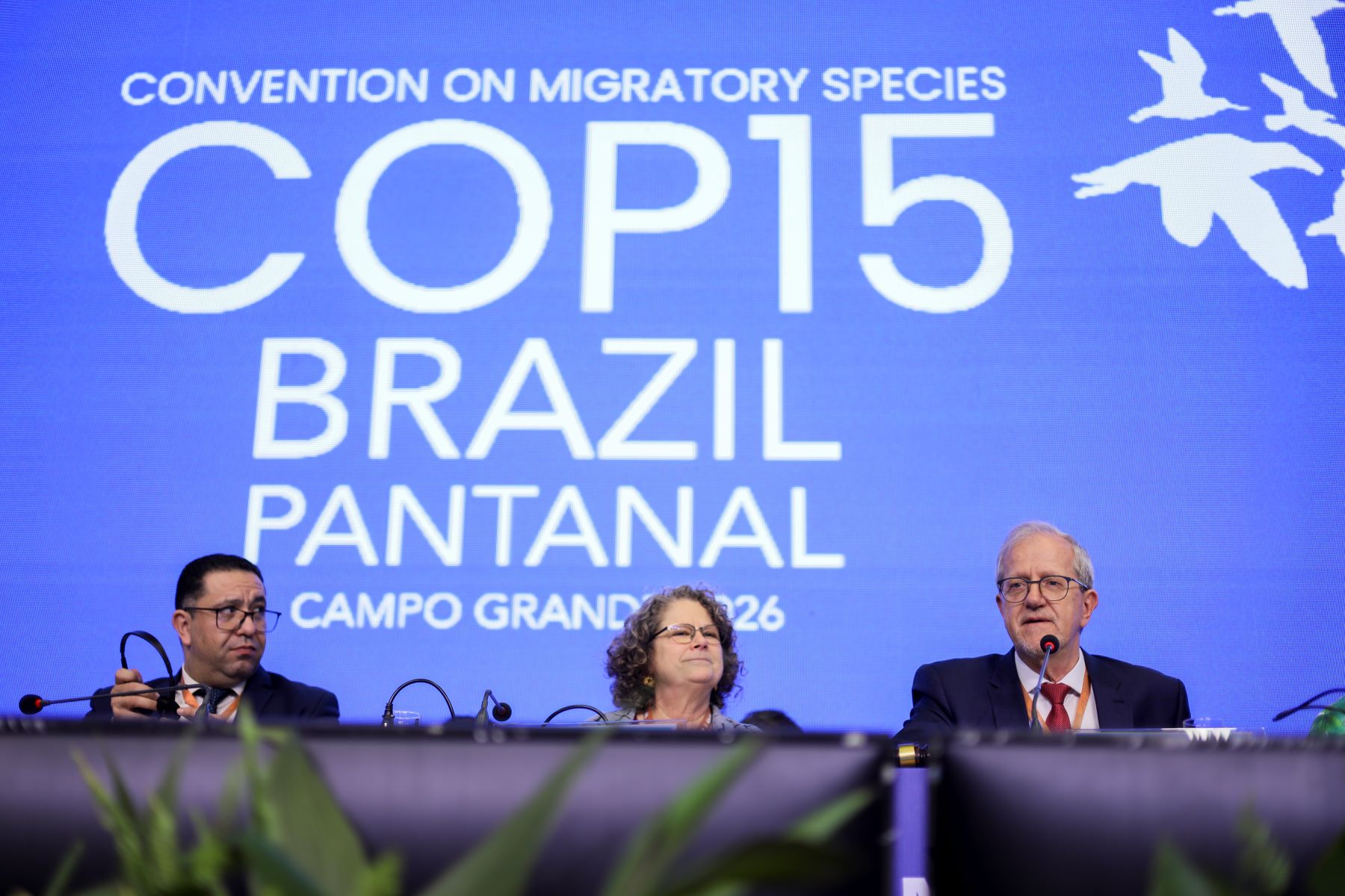 João Paulo Capobianco fala na plenária final da COP15, em Campo Grande: Onças, tubarões, tartarugas marinhas e aves passam a ter novas medidas protetivas (Foto:  Ueslei Marcelino / MMA)