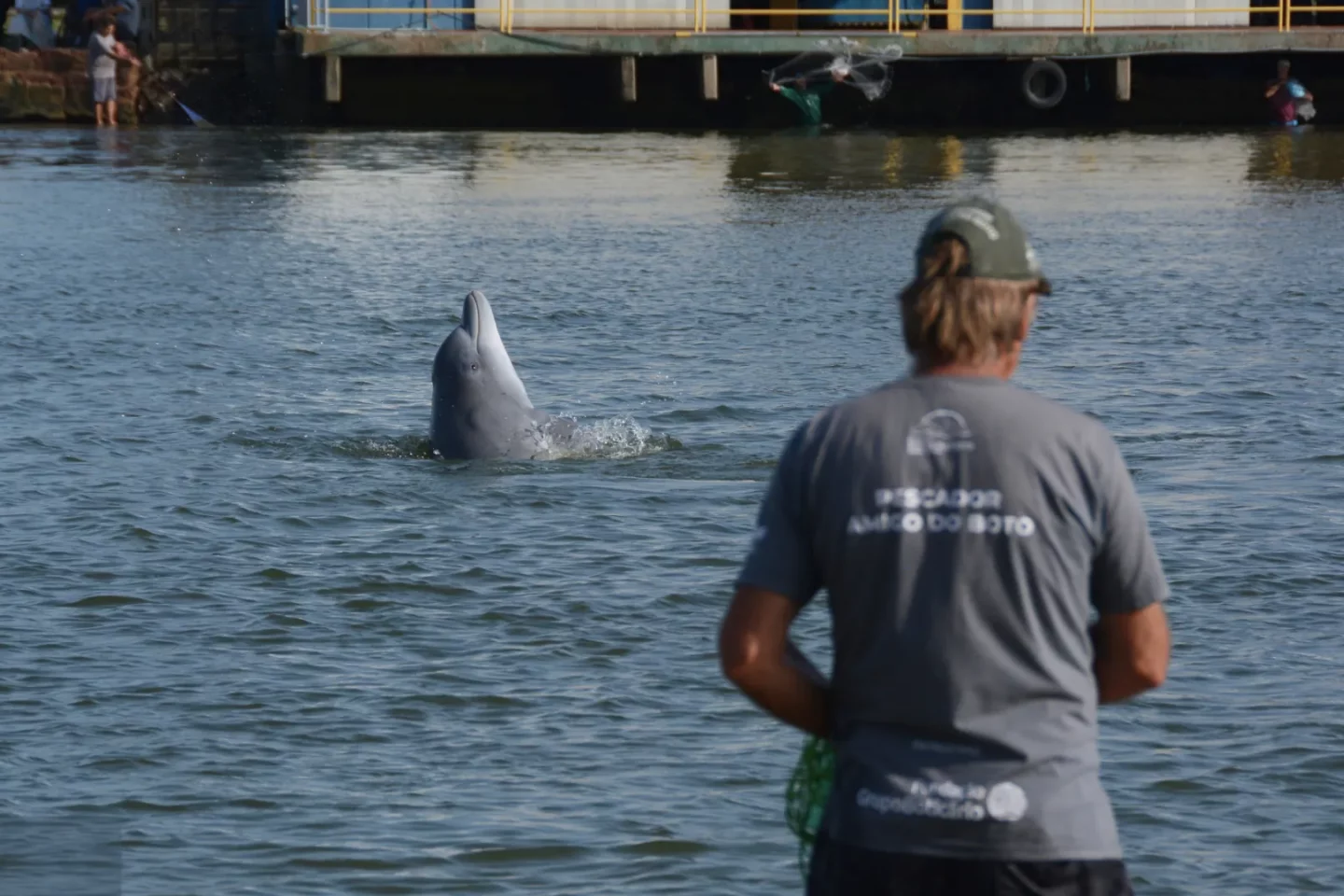 Foto colorida que mostra pescador de costas, voltado para o Rio Tramandaí, onde aparece um boto saindo da água