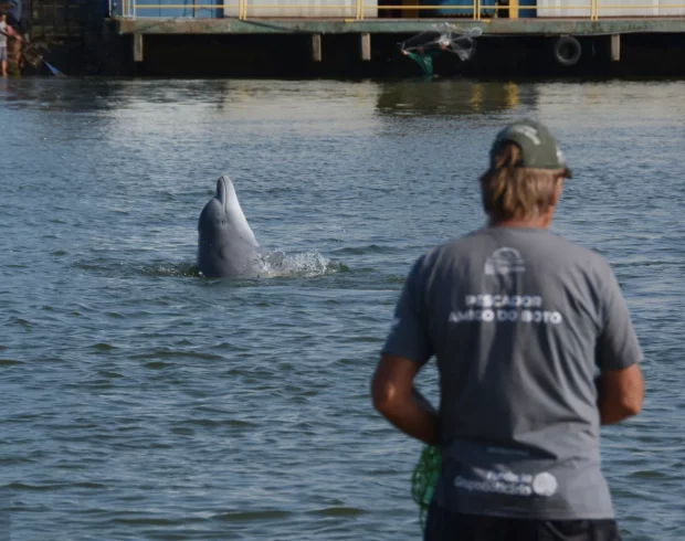 Pesca com botos: cooperação interespécies vira patrimônio cultural