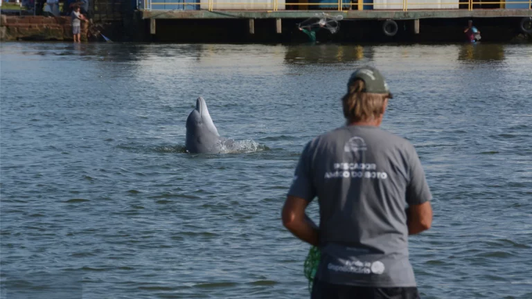 Foto colorida que mostra pescador de costas, voltado para o Rio Tramandaí, onde aparece um boto saindo da água