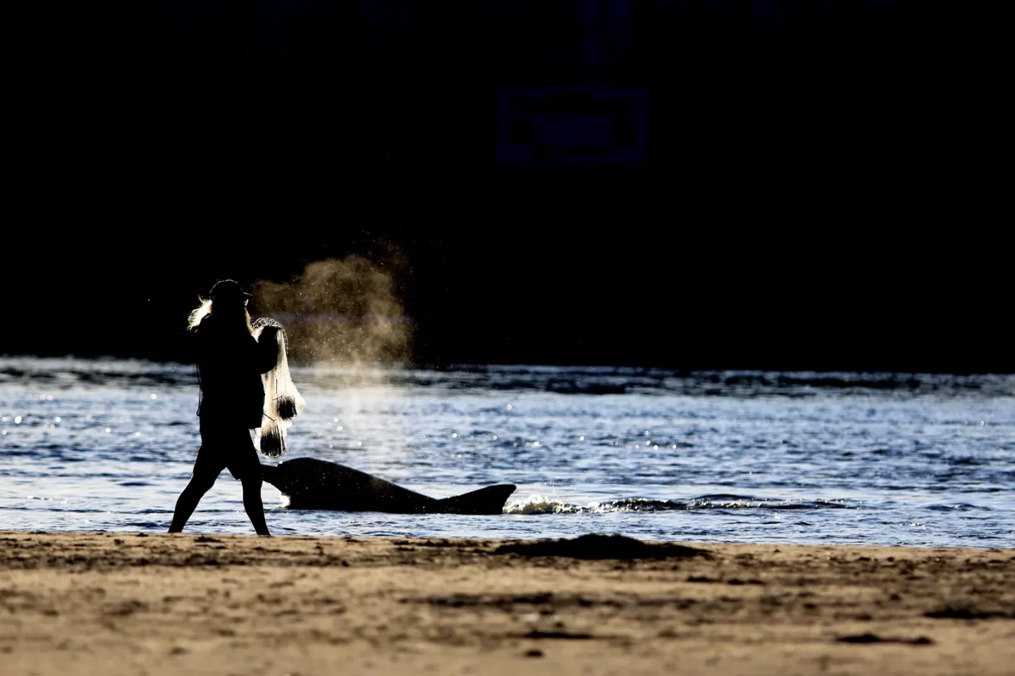 Foto colorida de silhueta de um pescador com rede nas margens do Rio Tramandaí. Próximo do homem aparece um boto.