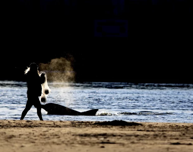 Emissário de esgoto ameaça Rio Tramandaí e sustento de pescadores tradicionais no sul