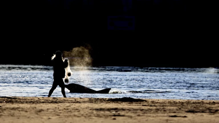 Foto colorida de silhueta de um pescador com rede nas margens do Rio Tramandaí. Próximo do homem aparece um boto.