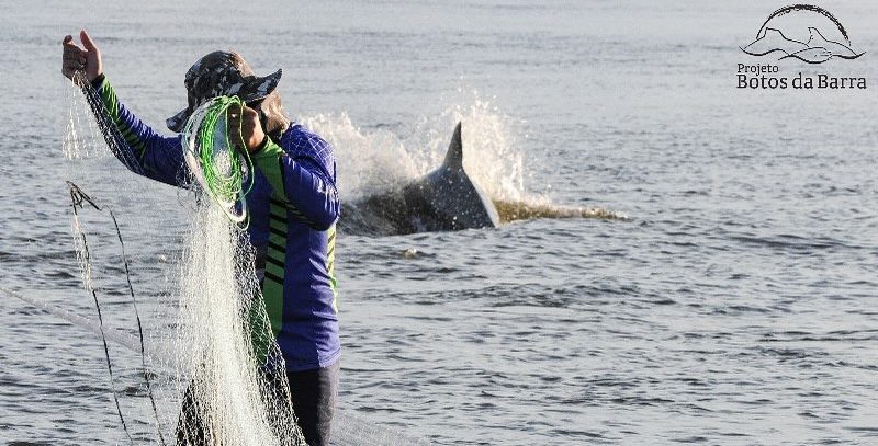 Foto colorida de pesca cooperativa com botos na Barra do Rio Tramandaí. Na imagem, aparece um pescador vasculhando a rede, enquanto um boto mergulha na água ao fundo