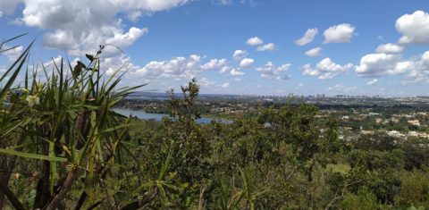 Foto colorida de paisagem do Cerrado na Serrinha do Paranoá. Na imagem, aparece um trecho de vegetação e, ao fundo, um curso d'água e a cidade de Brasília