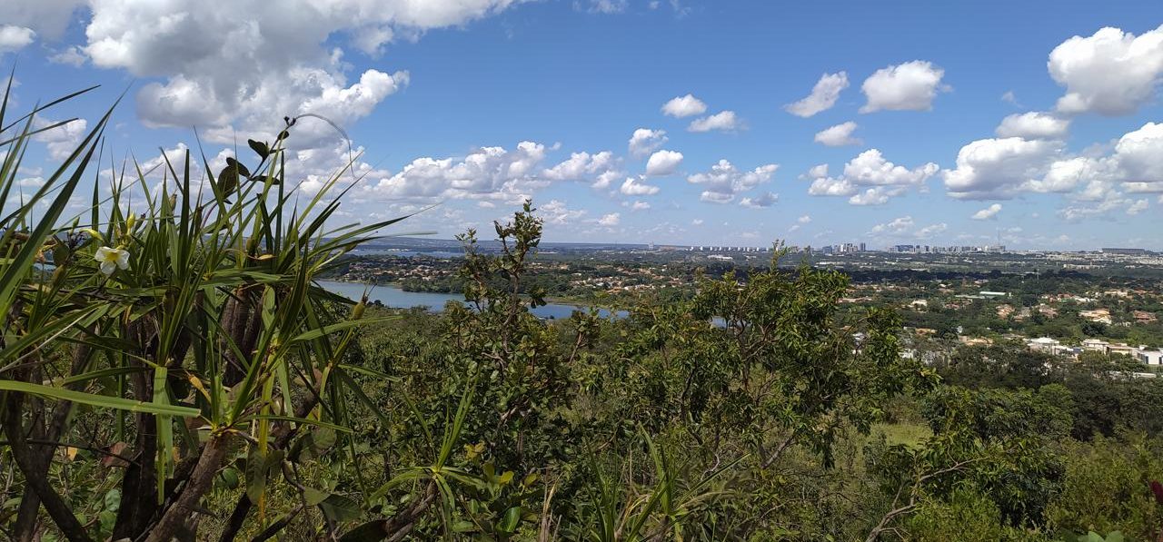 Foto colorida de paisagem do Cerrado na Serrinha do Paranoá. Na imagem, aparece um trecho de vegetação e, ao fundo, um curso d'água e a cidade de Brasília