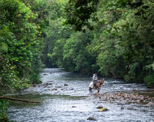 STF exige rapidez do CAR, mas ausência de regras ameaça territórios quilombolas