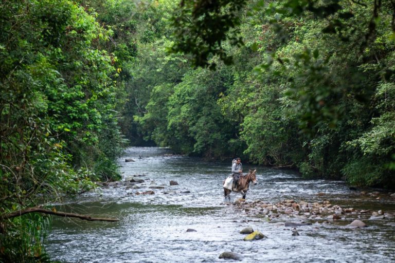 Quilombo de Bombas, em Iporanga, no Vale do Ribeira, sudeste de São Paulo, território com grande quantidade de CARs de invasores e posseiros sobrepostos (Foto: Fellipe Abreu / ISA)