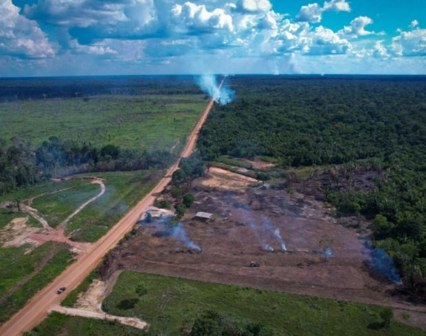 Ação na Justiça tenta anular editais para estrada BR-319 na Amazônia