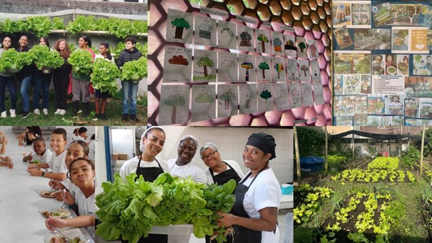 Programa Hortas Cariocas cria um ambiente sustentável em escolas do Rio