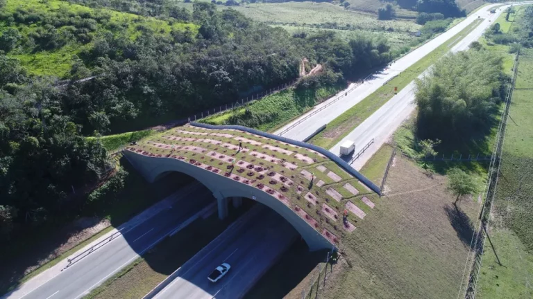 Foto colorida com vista aérea de primeiro viaduto vegetado do país, na BR-101, em Silva Jardim (RJ). Na imagem, aparece a vegetação na passagem de fauna que corta a rodovia