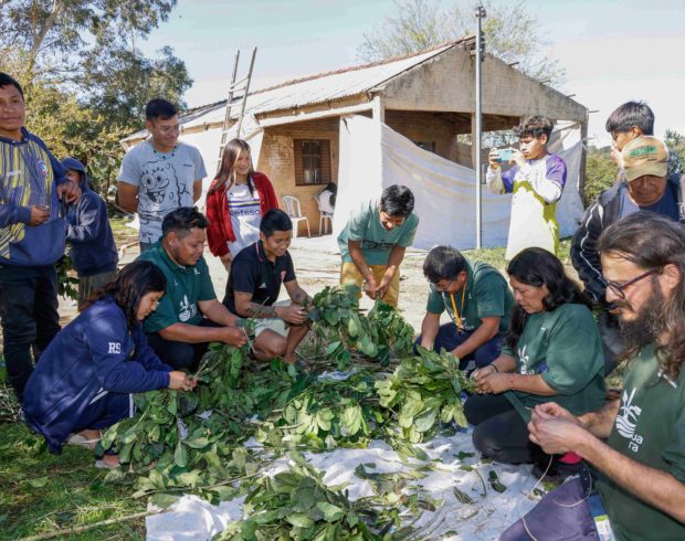 Comunidades guarani ‘descongelam’ tradições e recuperam territórios degradados no sul
