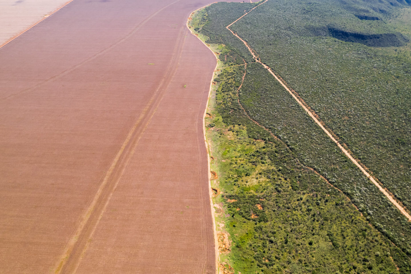 Foto colorida que mostra no lado esquerdo, campo de soja, dividido por uma estrada e, do lado direito, floresta e vegetação natural do Cerrado