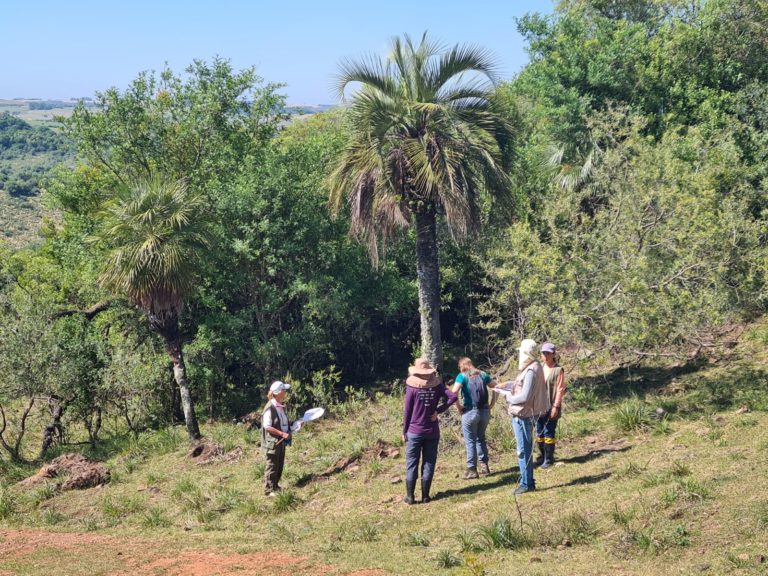 Foto colorida de equipe do Herbário BLA em expedição em zona rural de Júlia de Castilhos, perto do Rio Turupi. Na imagem, o grupo de pesquisadores está perto de palmeiras de butia witeckii