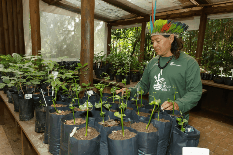 Foto colorida do cacique José Cirilo no viveiro da Tekoá Anhetenguá, em Porto Alegre. O cacique usa uma camiseta verde do projeto Ar Água e Terra e está na frente de várias mudas de árvores