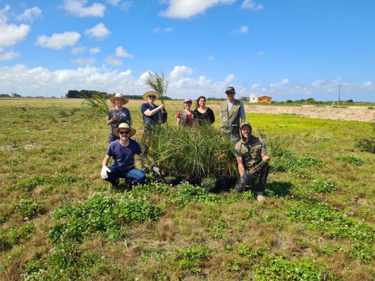 Foto colorida da família de Bruna e equipe do Herbário BLA durante plantio de mudas de butiá em Santa Vitória do Palmar