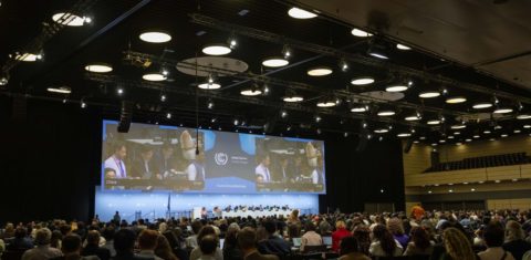 Plenária final da conferência preparatória para a COP31: bloqueios, recuos em decisões já tomadas e tentativas de reinterpretar a ciência (Foto: Kiara Worth / IISD/ENB)