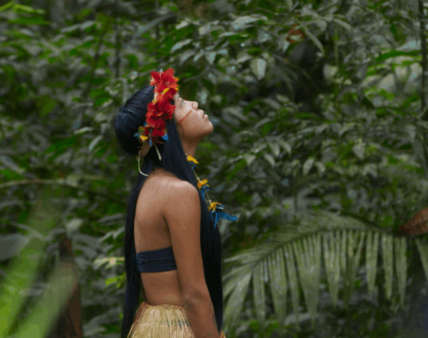 ‘Fluxo Azul’ mostra a importância de diferentes ecossistemas para manter floresta viva e água abundante
