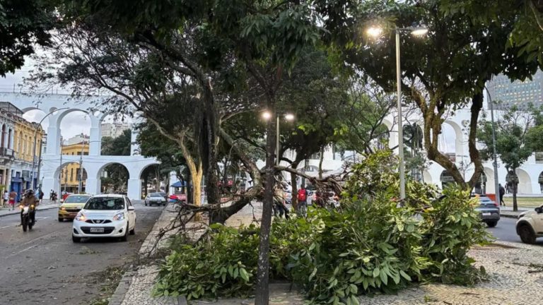 Queda de árvores após ventania no Rio: ventania causou cinco mortes no Sudeste (Foto: Tânia Rego / Agência Brasil)