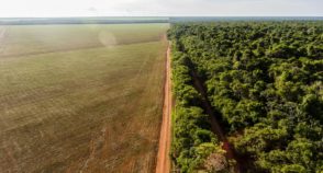 Redução da vegetação nativa deixa Brasil mais exposto aos eventos extremos do El Niño