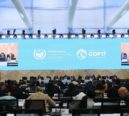 COP17 da Desertificação termina sem acordo global sobre secas