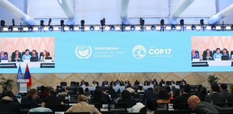 Plenária final da COP17 da Desertificação, na Mongólia: sem acordo global para enfrentamento às secas (Foto: Anastasia Rodopoulou / IISD / ENB)