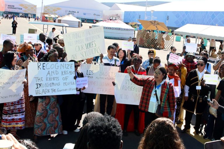 Protesto de representantes de povos indígenas na COP17: mais espaço nos debates sobre secas e degradação do solo (Foto: Anastasia Rodopoulou / IISD / ENB)