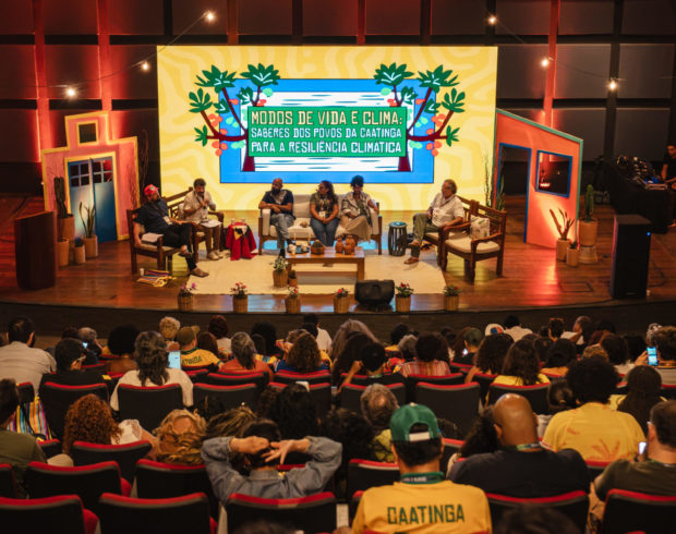Caatinga assume protagonismo no combate à desertificação e recuperação de territórios