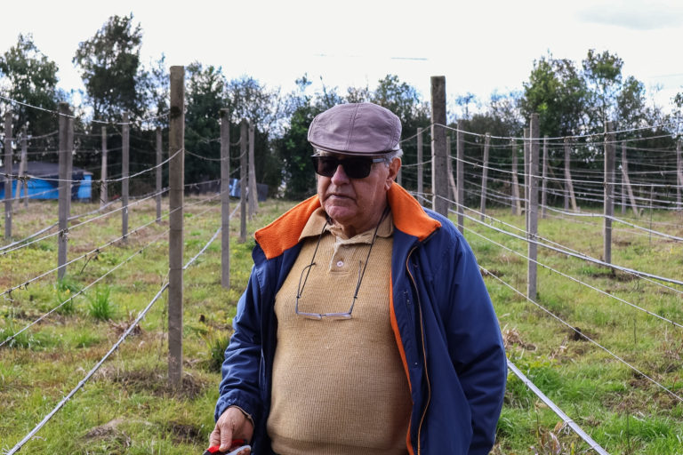 Foto colorida de Claudio Teixeira. Ele é um homem branco, idoso. Ele usa óculos escuros, uma boina cinza e tem cabelos brancos. Ela veste um casaco azul e uma camiseta bege. Ao fundo, vinhedo