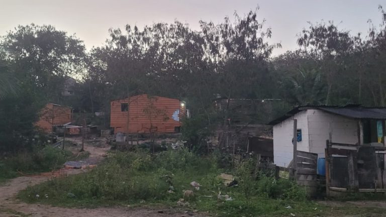 Foto colorida de casas de madeira nos fundos do lixão desativado, onde não há nenhum serviço de saneamento básico ou acesso à água