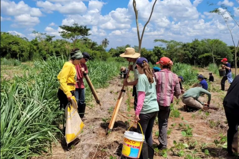 Ação do Mutirão Agroflorestal no interior de São Paulo: projeto reúne produção agrícola e florestal, iniciativas de restauração ambiental e educação socioambiental (Foto: Reprodução)