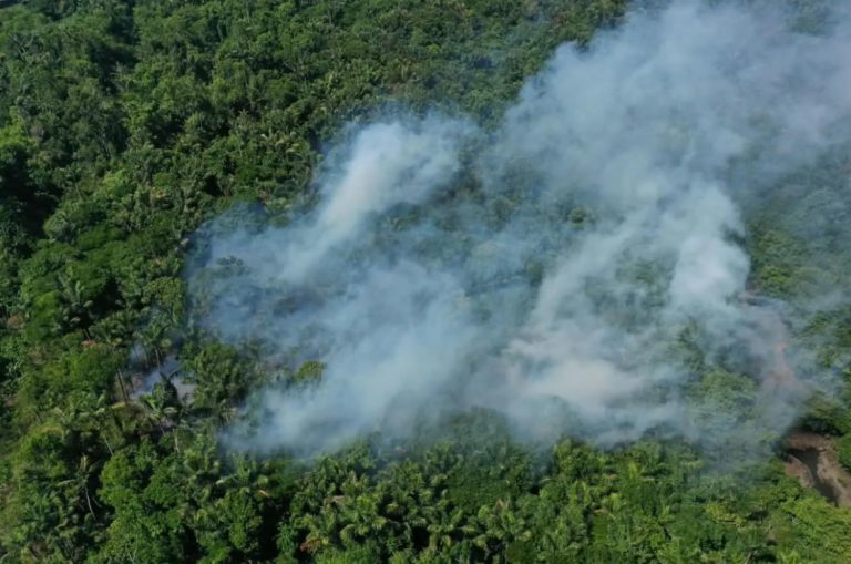 Fogo na floresta perto de Manaus: com seca, queimadas pioram a qualidade do ar na capital do Amazonas e cidades vizinhas (Foto: Newton Moreira / Ipam)
