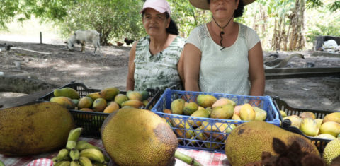 Foto colorida de Luzimar e a filha no sítio Amorim. Elas são duas mulheres brancas e usam chapéu. Na frente delas estão duas caixas com várias frutas