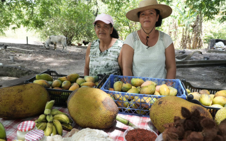 Foto colorida de Luzimar e a filha no sítio Amorim. Elas são duas mulheres brancas e usam chapéu. Na frente delas estão duas caixas com várias frutas