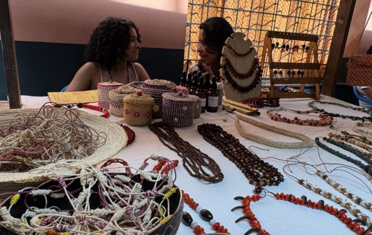 Foto colorida que mostra uma bancada com várias biojoias e artesanato e duas mulheres conversando. Na esquerda, aparece Laura Lima, mulher negra com cabelo cacheado na altura dos ombros