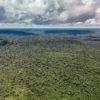Queda no desmatamento é conquista histórica para o Brasil
