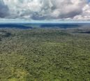 Queda no desmatamento é conquista histórica para o Brasil