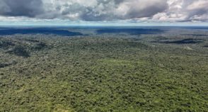 Queda no desmatamento é conquista histórica para o Brasil