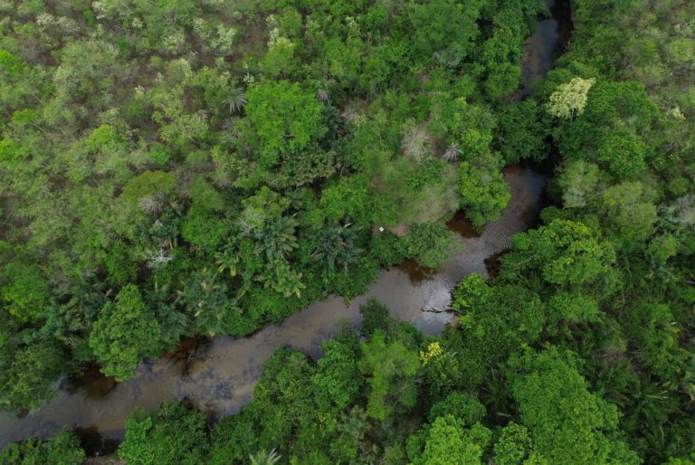 O Rio Itapecuru entre as matas no Maranhão onde suas águas abastecem mais de 50 municípios: Cerrado teve redução de 23% no desmatamento em um ano (Foto: Fernando Frazão / Agência Brasil - 12/10/2025)