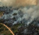 O meio ambiente não é pauta da esquerda, é direito de todos