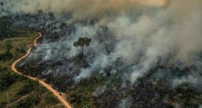 O meio ambiente não é pauta da esquerda, é direito de todos