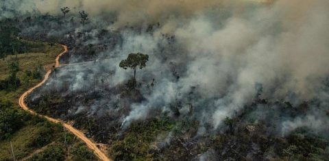 Foto colorida com vista aérea de queimada em Altamira (PA), durante o dia do fogo, em agosto de 2019. Na Amazônia, durante o governo Bolsonaro