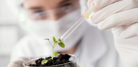 Foto colorida que mostra imagem de cientista despejando um líquido em uma planta. A pessoa está com equipamento de proteção que inclui touca, máscara e luvas brancas