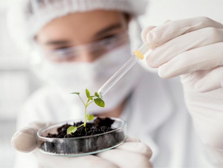 Foto colorida que mostra imagem de cientista despejando um líquido em uma planta. A pessoa está com equipamento de proteção que inclui touca, máscara e luvas brancas