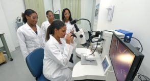 Cientistas divulgam carta em defesa da democracia e contra o retorno da “balbúrdia”