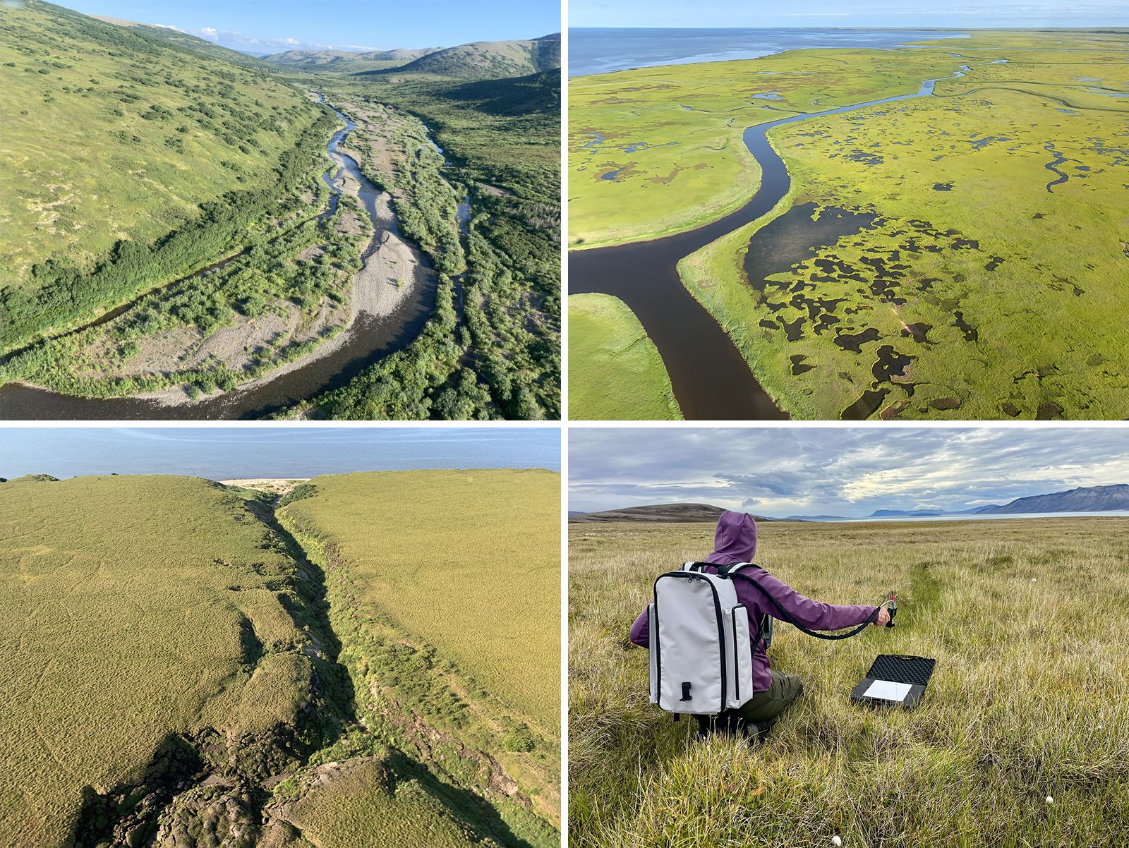 Vegetação da tundra cresce com temperaturas mais quentes no Ártico, o que também provoca mais incêndios florestais (Fotos: G.V. Frost)