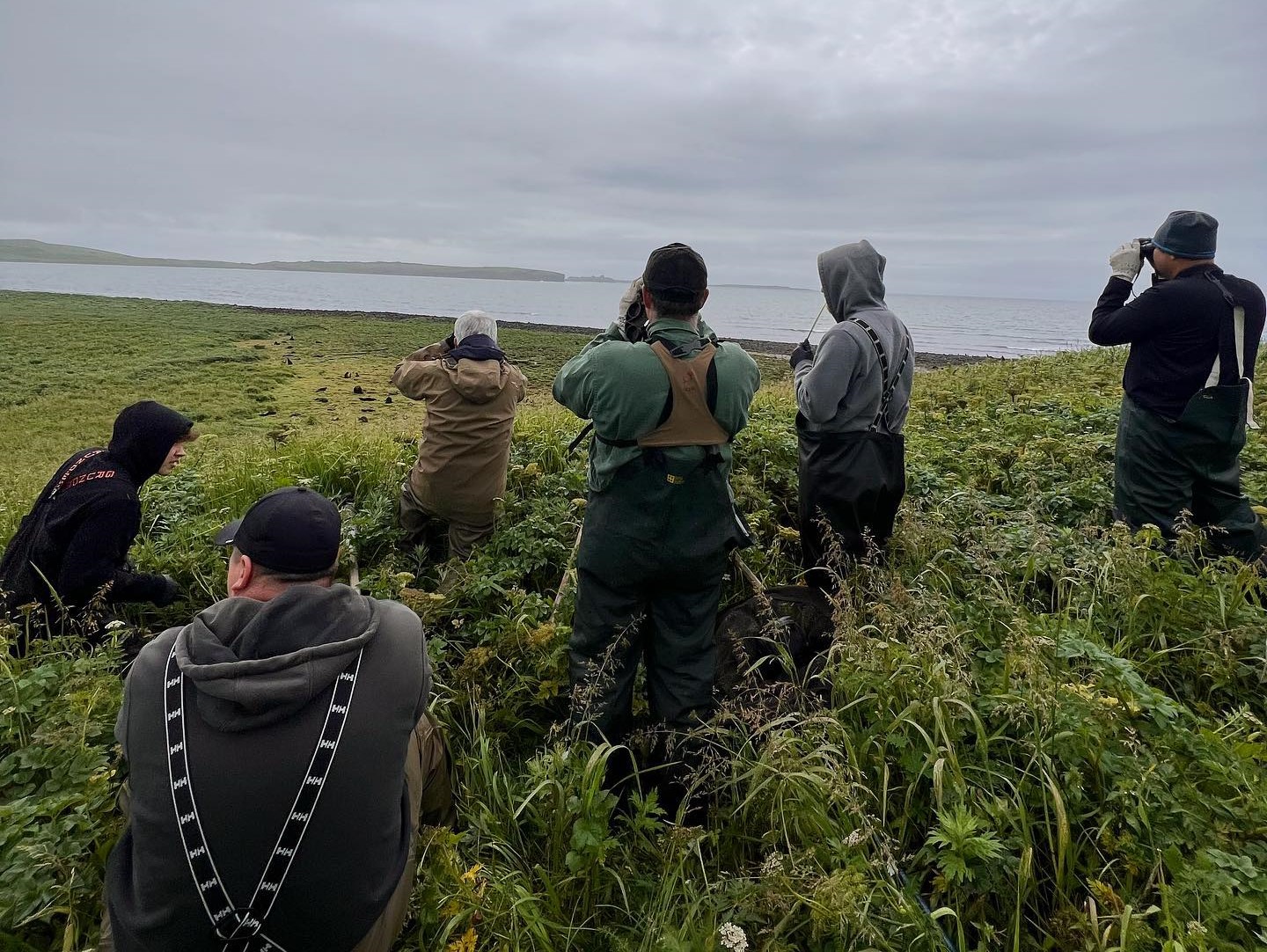 Rede de Sentinelas Indígenas em ação no Ártico: monitoramento de condições ambientais, desde o mercúrio em alimentos tradicionais até a erosão costeira e o habitat de peixes (Foto: Hannah Marie Ladd - CC BY)